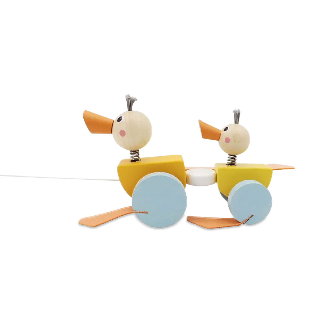 خانواده اردک چرخدار پیکاردو