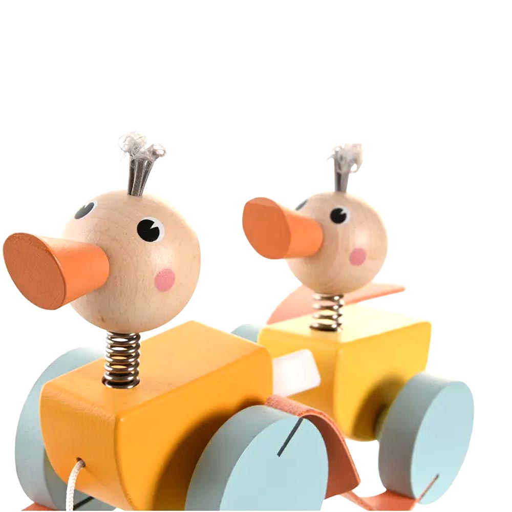 خانواده اردک چرخدار پیکاردو